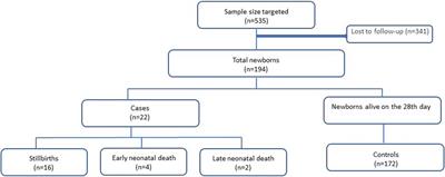Factors associated with perinatal and neonatal deaths in Sao Tome & Principe: a prospective cohort study